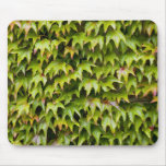 Virginia Creeper Mousepad