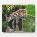Virginia Deer Fawn Baby Animal Wildlife Art mousepads