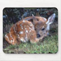 Virginia Deer Fawn Baby Animal Wildlife Art Mouse Pads