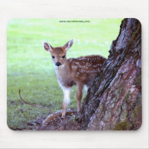 Virginia Deer Fawn Baby Animal Wildlife Art Mouse Pad