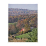 Virginia in the Fall Postcards