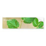 Virginia Round-leaf Birch Bumper Sticker