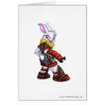 Virtupets Space Station Team Captain 2 cards