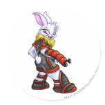 Virtupets Space Station Team Captain 2 stickers