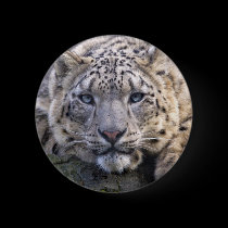 Vishnu Snow Leopard Badge buttons