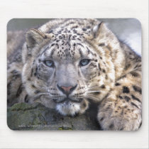 Vishnu Snow Leopard Mousemat