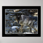 "Vision Quest" Grey Wolf Poster posters