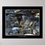 "Vision Quest" Wolf Poster posters
