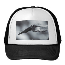 vision solo - diving for peace mesh hat