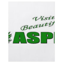 Visit Beautiful Aspen, Colorado Flyer