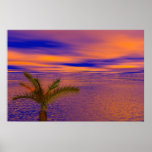 Vista posters