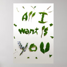 visual proposal typography poster series