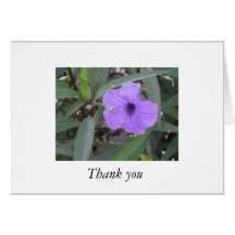 Visualise Thankfulness Cards