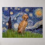 Viszla 2 - Starry Night Posters