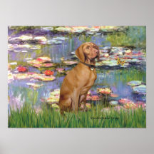 Viszla 2 - Vizsla Print
