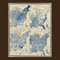 Vital statistics, United States census posters