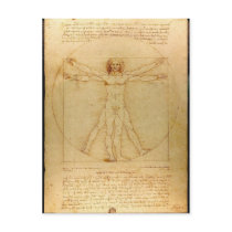 Vitruvian Man by Leonardo da Vinci Postcard