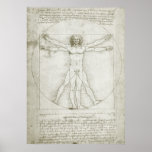 Vitruvian Man by Leonardo da Vinci Posters