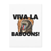 Viva La Baboons