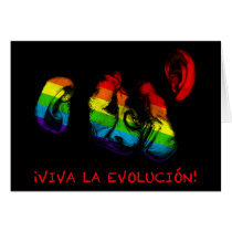 viva la evolucion! rainbow chimps cards