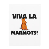 Viva La Marmots