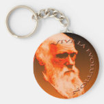 Vive La Evolution Key Chains