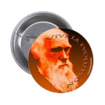 Vive La Evolution Pins