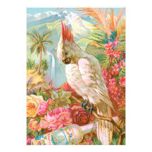 Vivid Flowers and a Cockateil Personalized Announcement