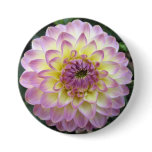 Vivid Lavender Creme Dahlia buttons