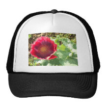 Vivid red Poppy Hats