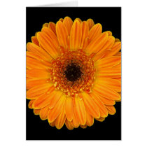 Vivid Sun Flower Greeting Card
