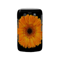 Vivid Sun Flower Blackberry Bold Cases