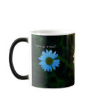 "vivid trio" mugs