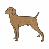 Vizsla