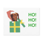 Vizsla Green Gift Box Postcard