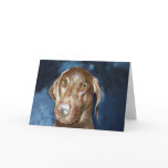 Vizsla Greeting Card with matching Postage Stamp