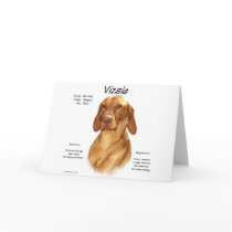 Vizsla History Design