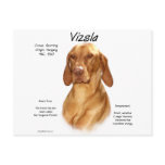 Vizsla History Design postcards