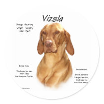 Vizsla History Design