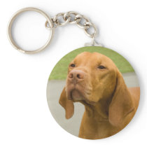 Vizsla Keychains