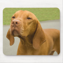 Vizsla Mouse Pads