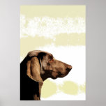 Vizsla posters