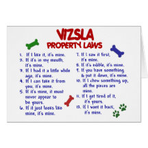 VIZSLA Property Laws 2 Cards