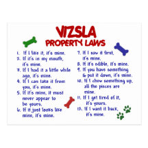 VIZSLA Property Laws 2 Postcard