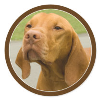 Vizsla Sticker