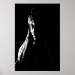 Vlad Tepes posters