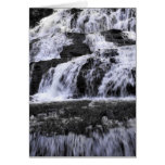 vogel falls cards