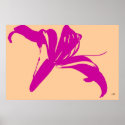 Vogue Daylily posters