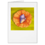 Vole Conch & Orange Flower Greeting Cards
