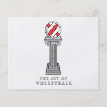 volleyball on a pedestal full color flyer